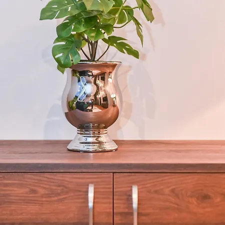 Appartement Modern I Penthouse Apt W - Ac I Cohost *